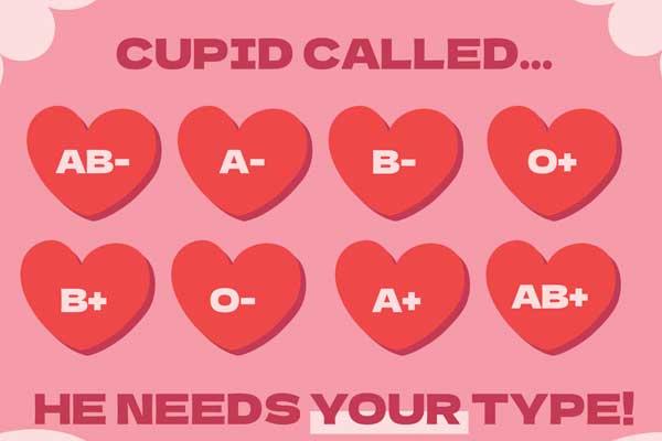 十大外围足彩排行榜 Blood Drive